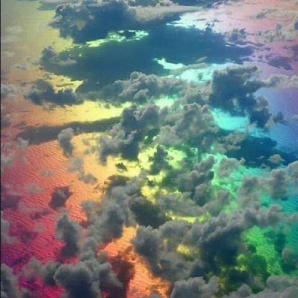 Meet your Posher, Lisa - Picture 1 of 1